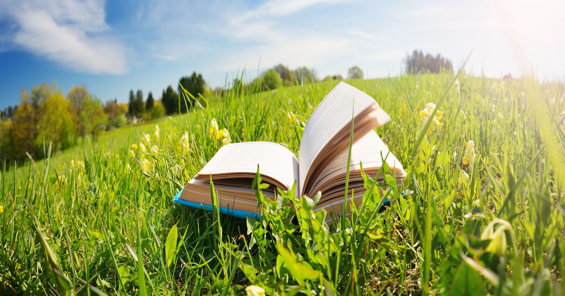 Open hardback book in green field